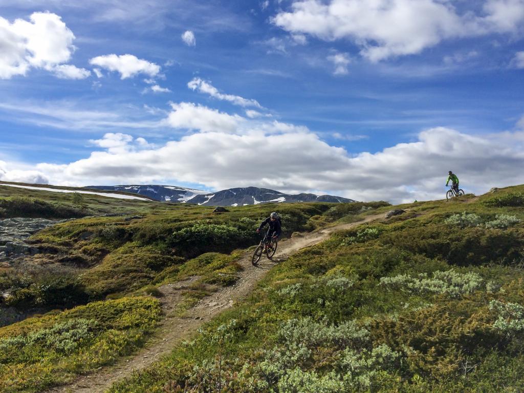 Liatoppen Fjellhotell Al Kültér fotó