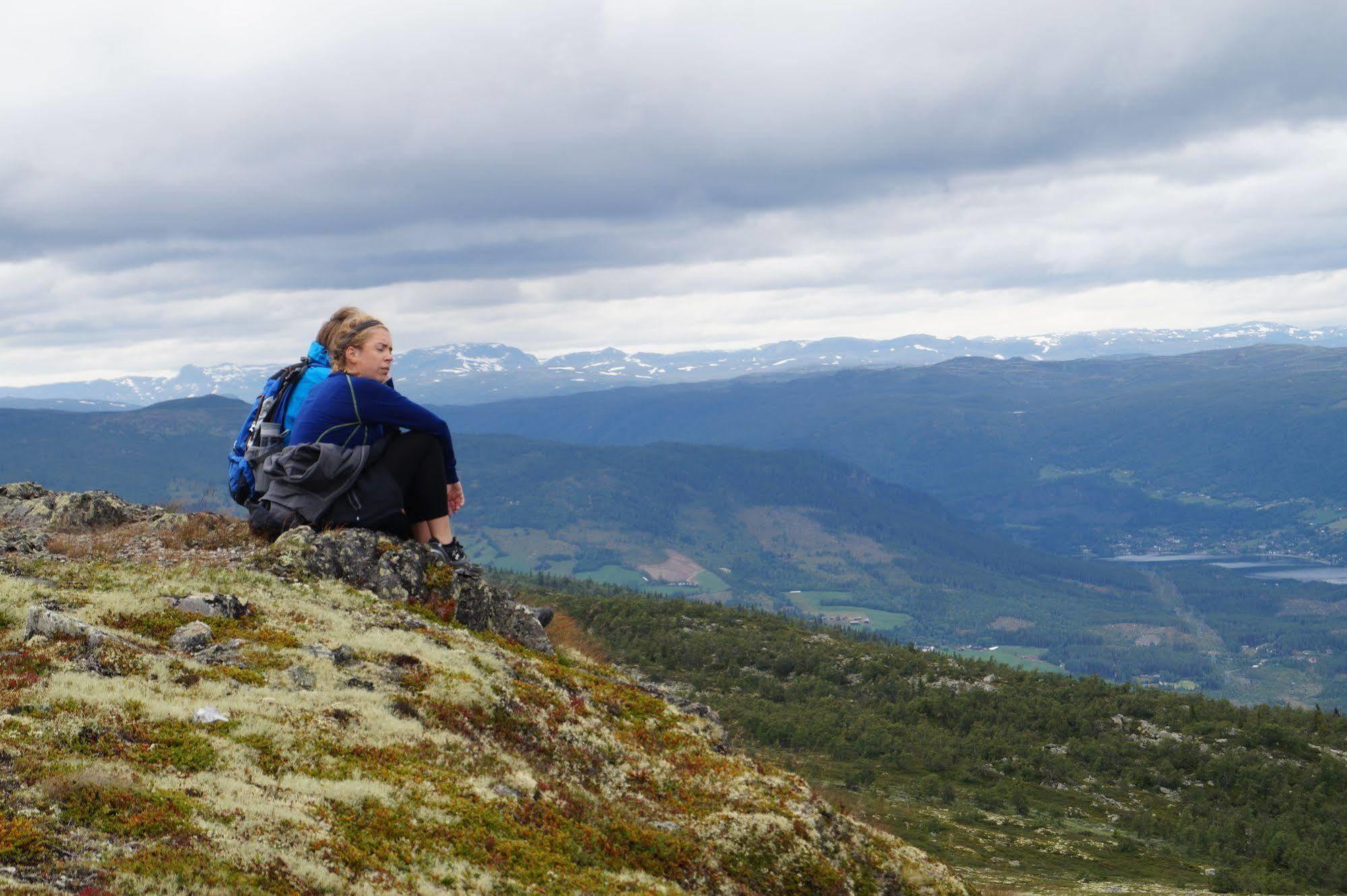 Liatoppen Fjellhotell Al Kültér fotó