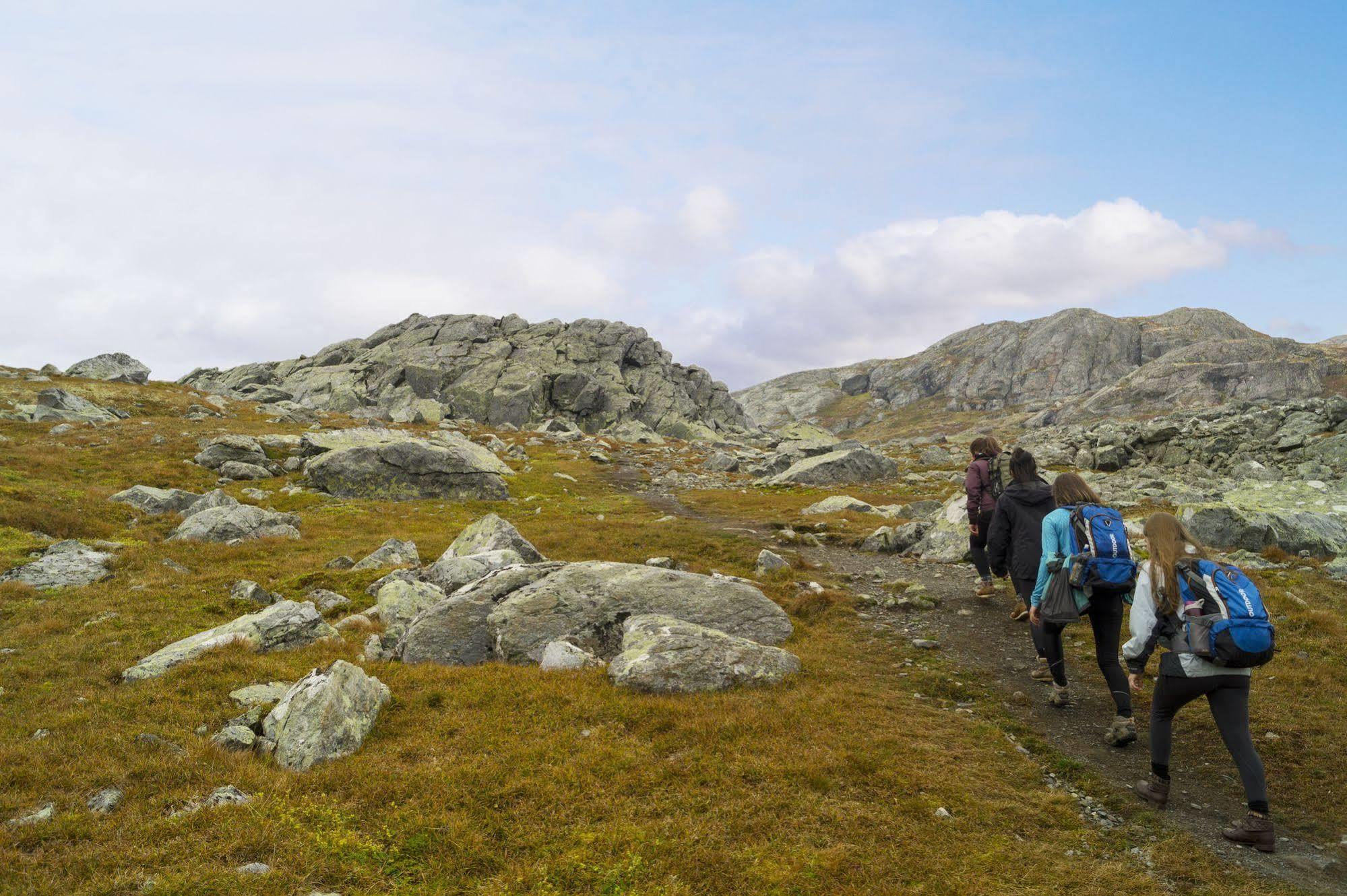 Liatoppen Fjellhotell Al Kültér fotó