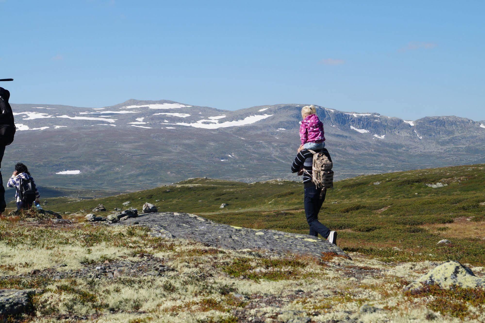 Liatoppen Fjellhotell Al Kültér fotó