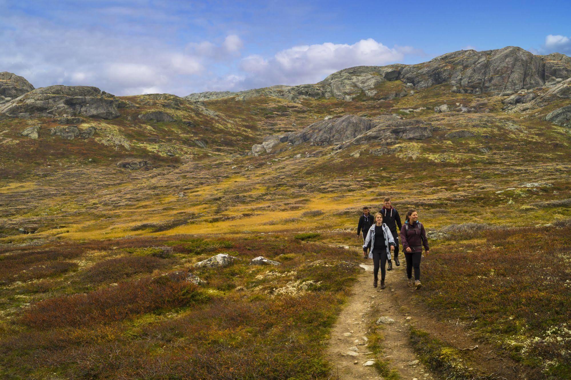 Liatoppen Fjellhotell Al Kültér fotó