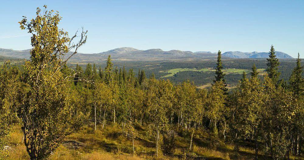 Liatoppen Fjellhotell Al Kültér fotó